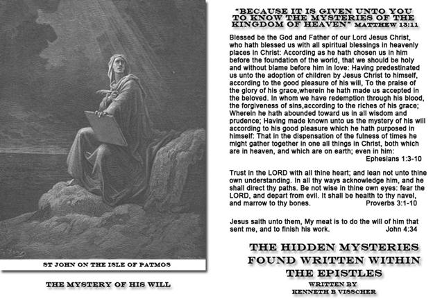Mystery_Of_His_Will_copy.jpg